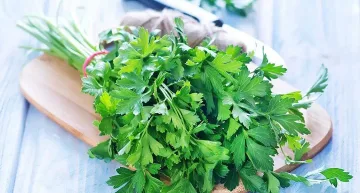 Как магданозът помага на имунитета и здравето