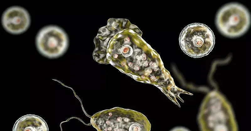 Тази гадост разяжда мозъка и убива