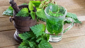 За какво помага копривата