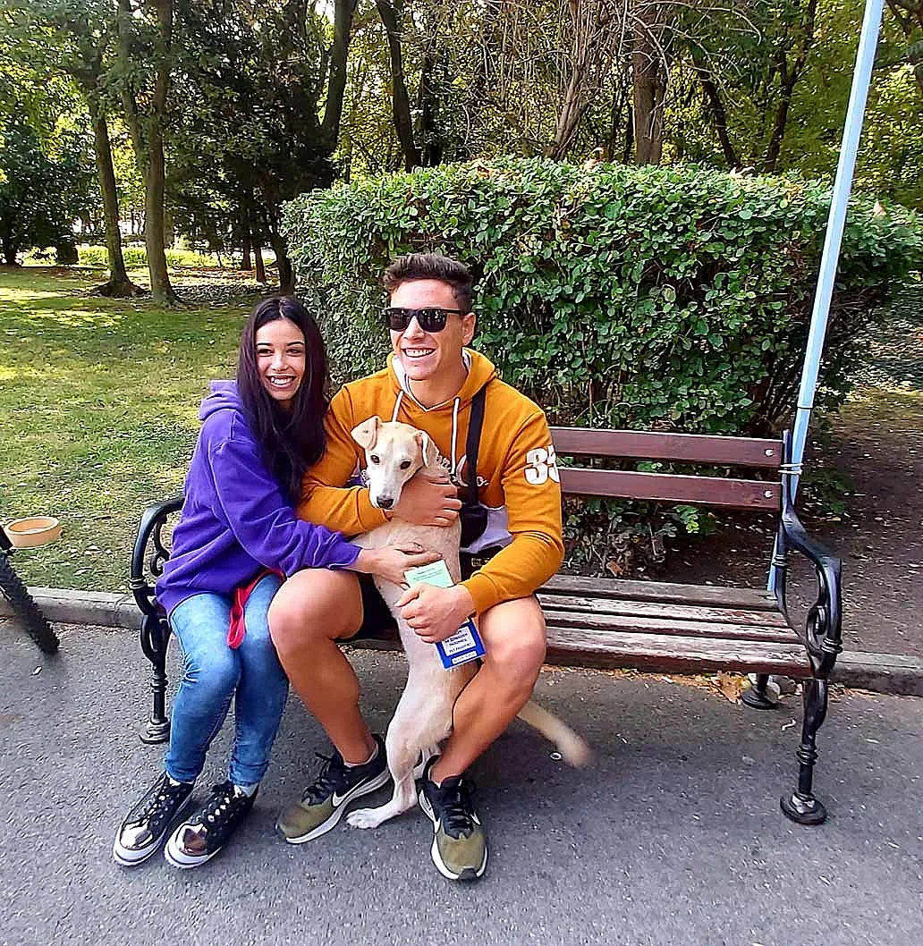 Четири кученца от приюта край м. "Пода" намериха свои стопани