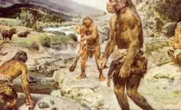 У нас хомо сапиенс, в Италия - неандерталци