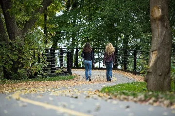 За 22 септември: 19 града без коли