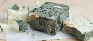 Сиренето натъпкано със свинска мас