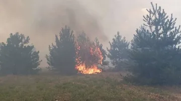 Евакуираха хора заради пожар край Атина
