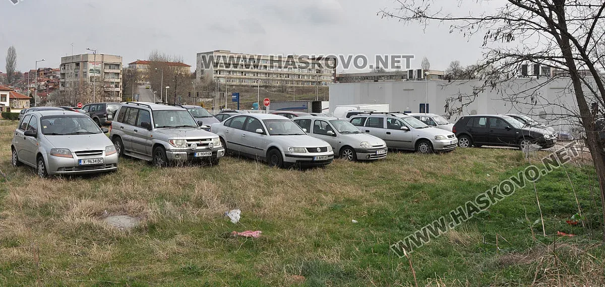 1400 коли на тревата в София