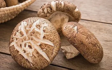 Азиатска гъба бори рака