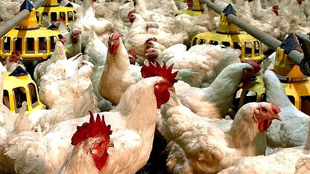 “Градус” успешно лавира в кризата