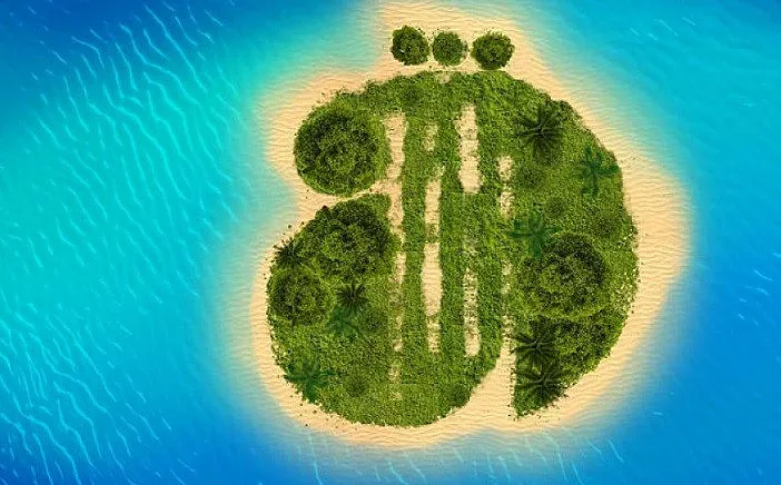 Музиката завладява "Аполония"