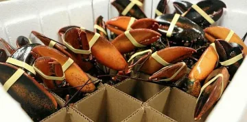 Ето коя вкусотия донесе мир между Европа и САЩ