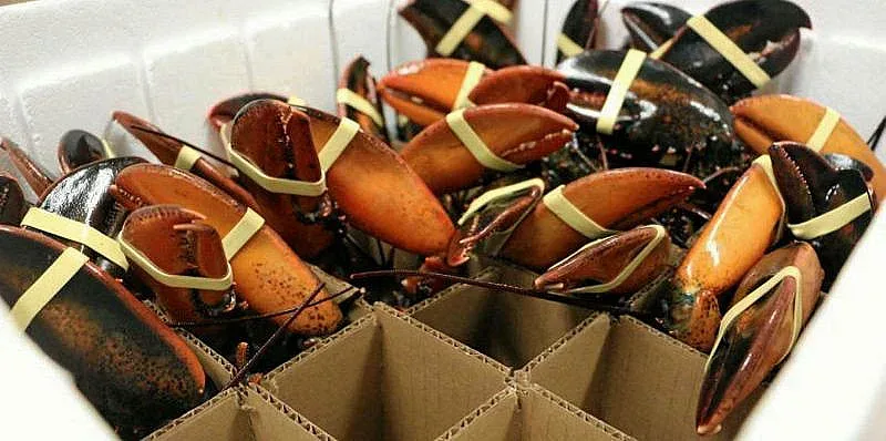 Ето коя вкусотия донесе мир между Европа и САЩ