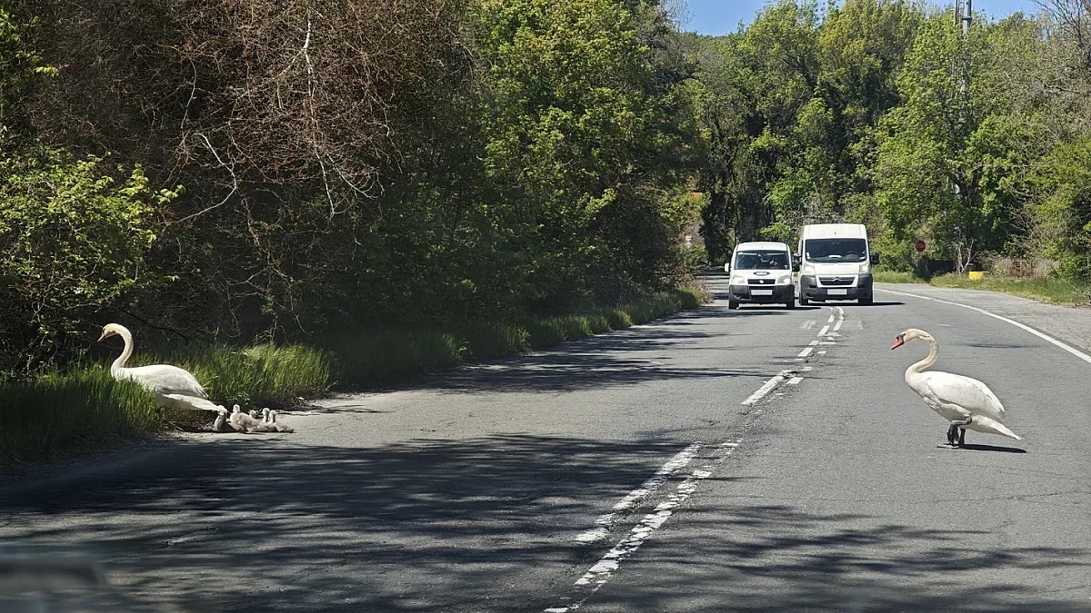 Невероятна случка до наш обичан морски град!