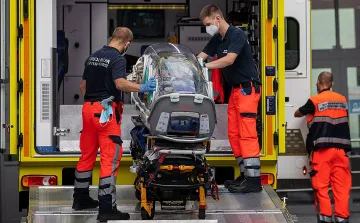 Ето кой е договорил преместването на Навални