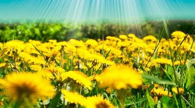 Жега, но се чака и дъжд