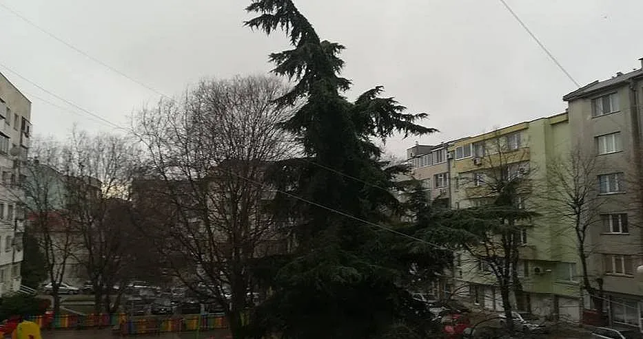 Жълт код за бури с градушки