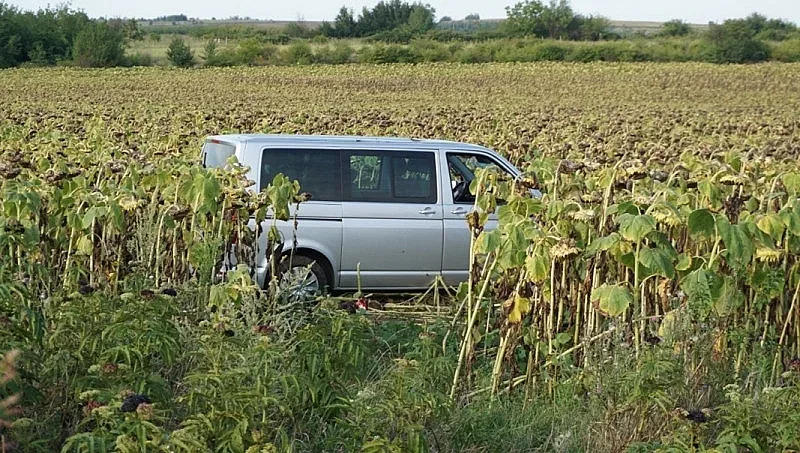 Микробус излетя от пътя, заседна сред слънчогледи