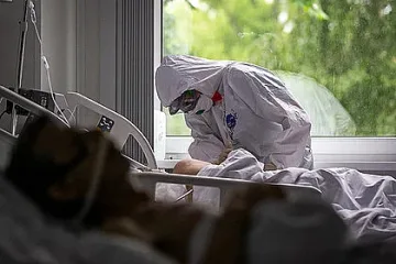 Нова версия за появата на коронавируса