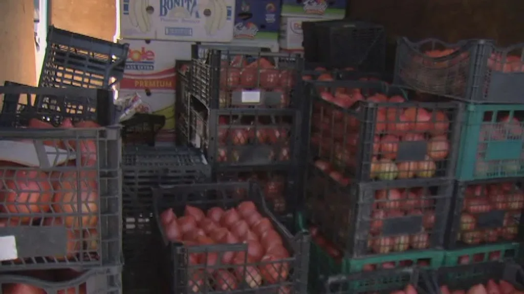 Доматите: 80 ст. на борсата, 3 лв. в София