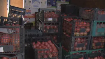 Доматите: 80 ст. на борсата, 3 лв. в София