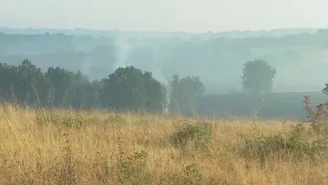 Пожар погълна 400 дка гора в Хасковско