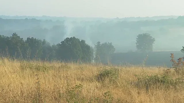 Пожар погълна 400 дка гора в Хасковско