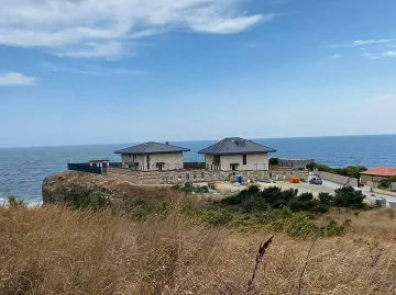 Прокопиев направил имение Буджака вместо вилички