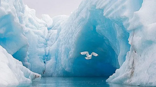 Скрито чудо на Антарктида, което се показва само през лятото