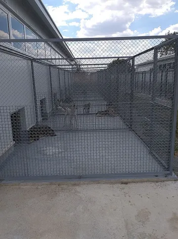 Стара Загора изгради съвременен приют за безстопанствени животни