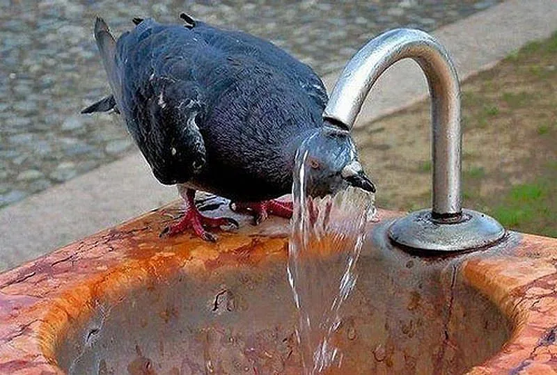Яка жега и днес