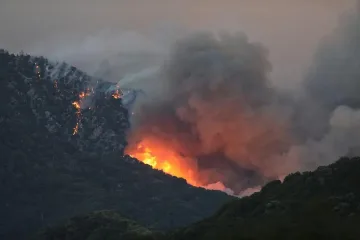 Край Лесово още гори