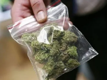 Ужилване: Вместо марихуана - суха трева за 2 бона