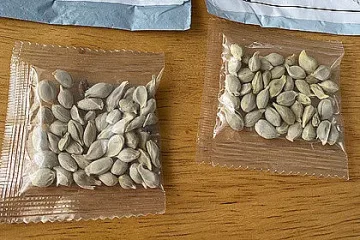 Хиляди получиха китайски тайнствени семена