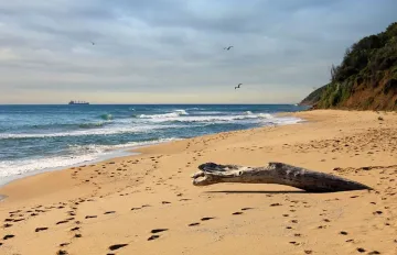 Брегът край Иракли замърсен с палмово масло