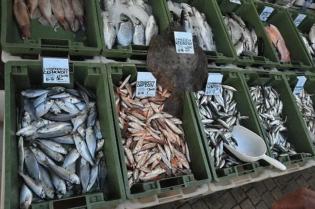 Морето завря от любима риба. Цените рязко падат