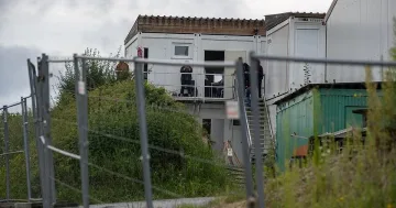 Без заразени българи във фермата в Бавария