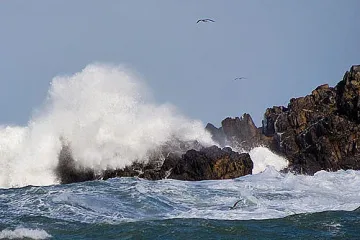Къща на Прокопиев затворила достъпа до морето