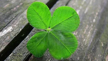 Как да привлечем късмет и пари през 2023