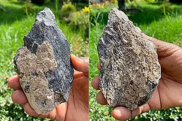 Древните хора са имали развит интелект