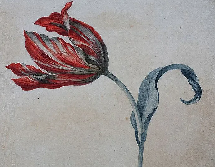 Изложба в знак на благодарност към медиците