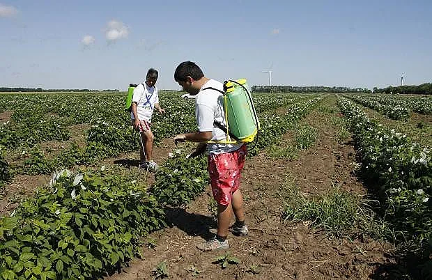 Нова тв: Земеделци тровят храната ни