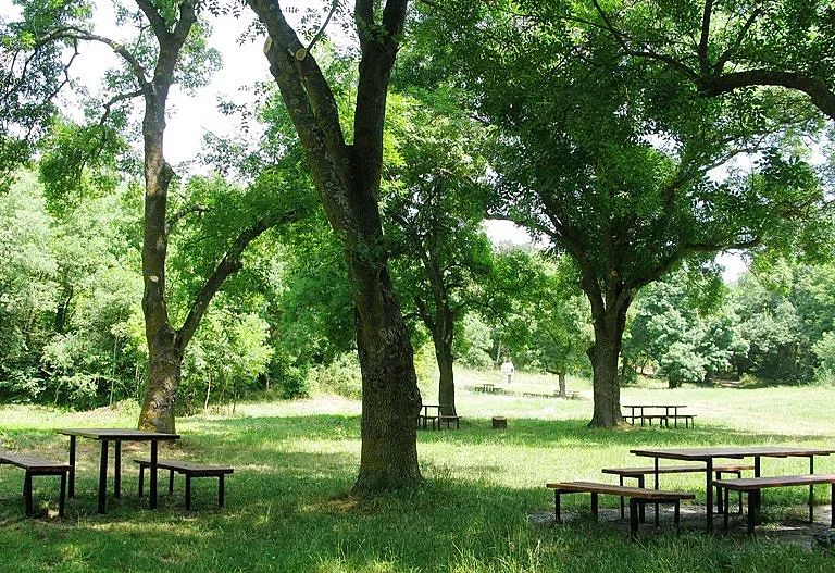 Симпатизанти на ДПС пристигнаха на "Росенец"