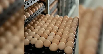 Производители изразяват задоволство от работата с Lidl