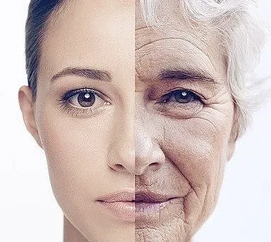 Тайните на дълголетието