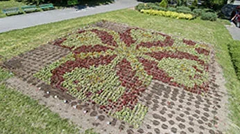 Хиляди нови цветя ще красят Стара Загора