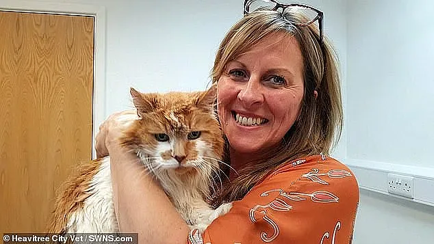 Почина най-старата котка в света