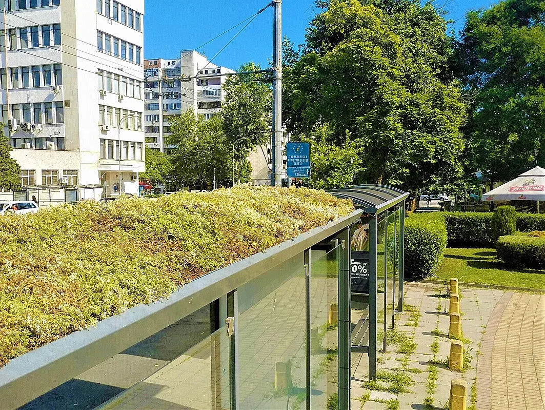 Едната автобусна спирка до БСУ стана „зелена“, скоро и другата