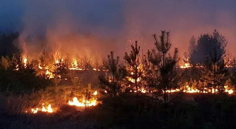 Огромни пожари обхванаха Сибир