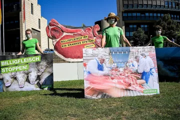 Кланицата с К-19 изнася месо за България