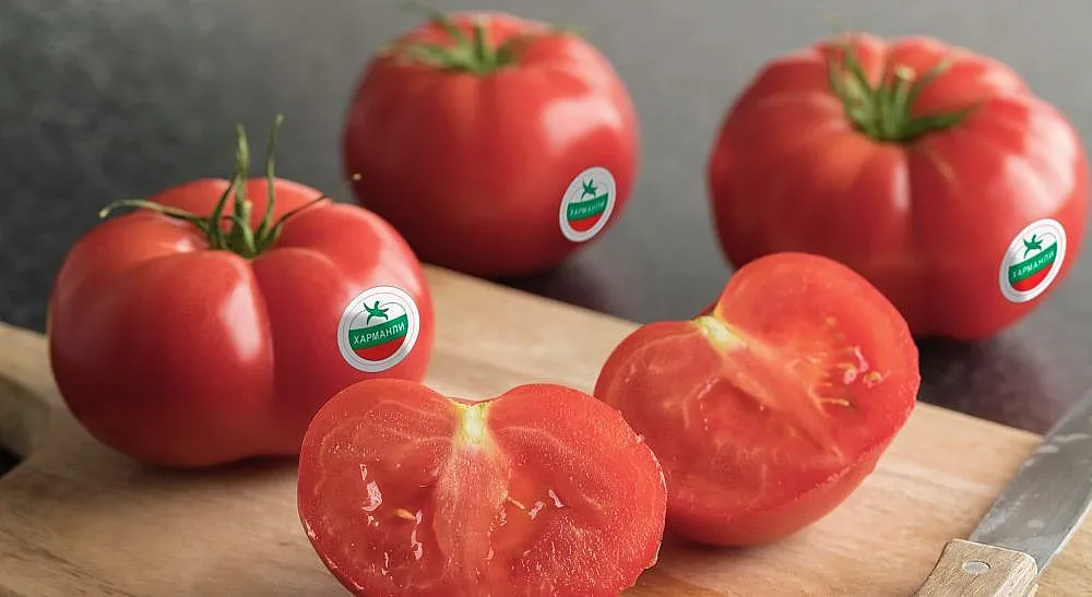 Три поколения земеделци съхраняват вкуса на розов домат от Харманли