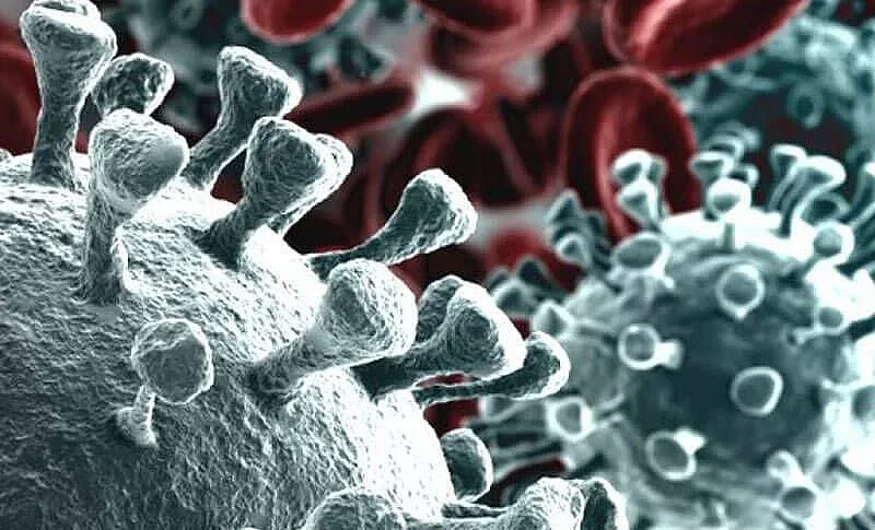 От какво страдат пациентите излекувани от COVID-19