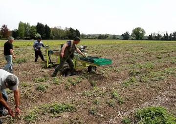 Британците: Българи, къде сте…